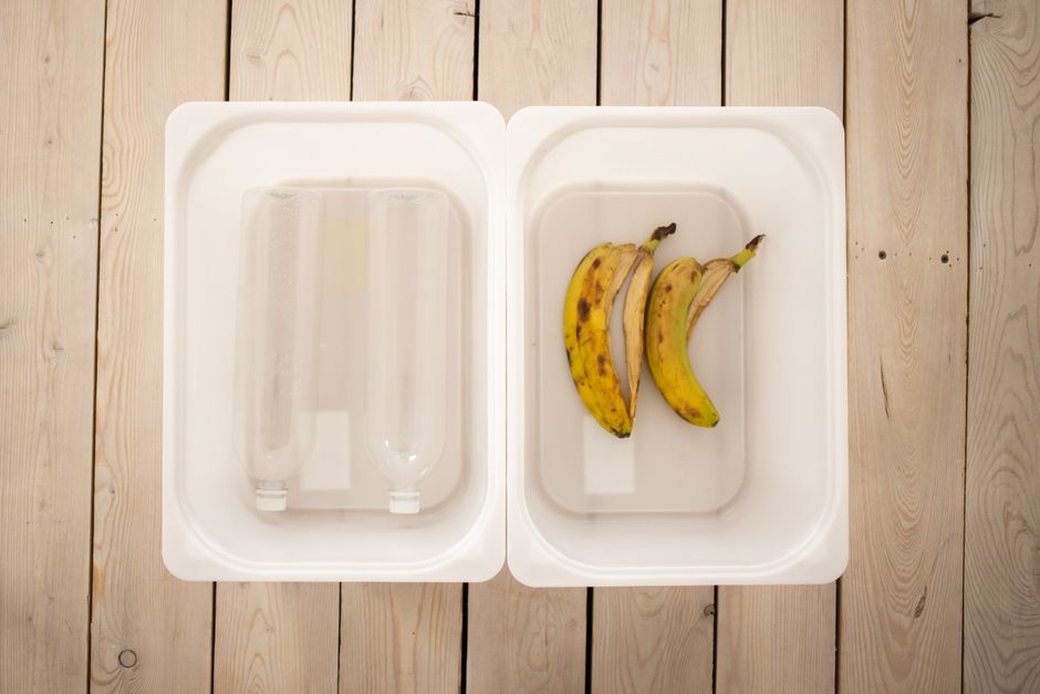 Composting in a City Apartment Without the Smell or the Fruit Flies