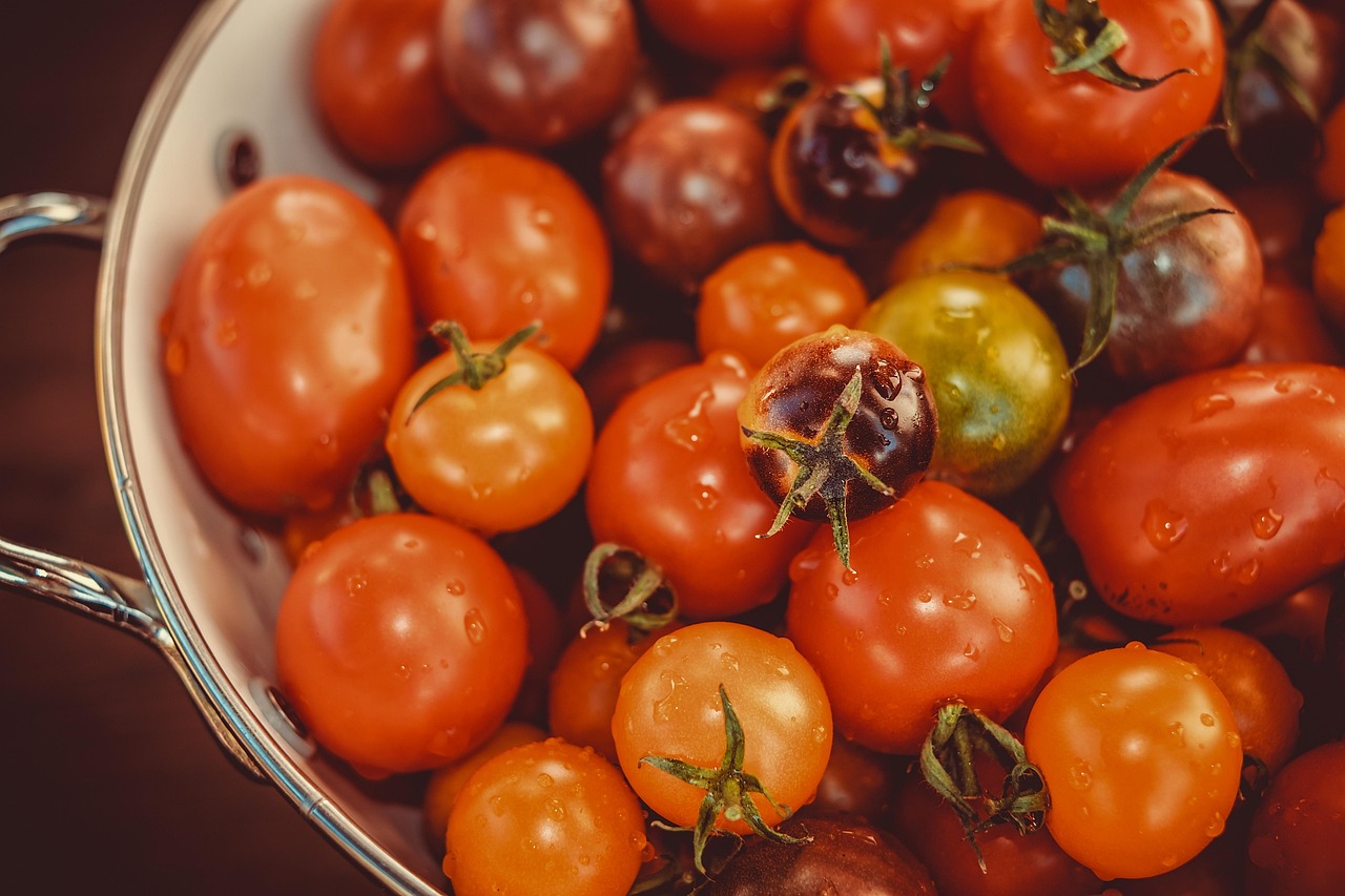 From Scrap to Soil: Regrowing Vegetables on Your Kitchen Counter